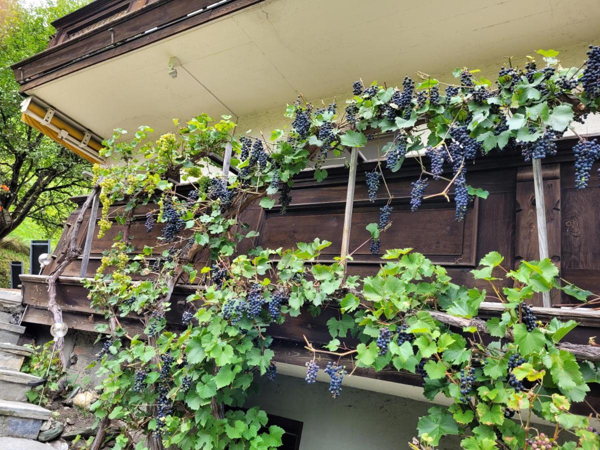 Gastein Chalet